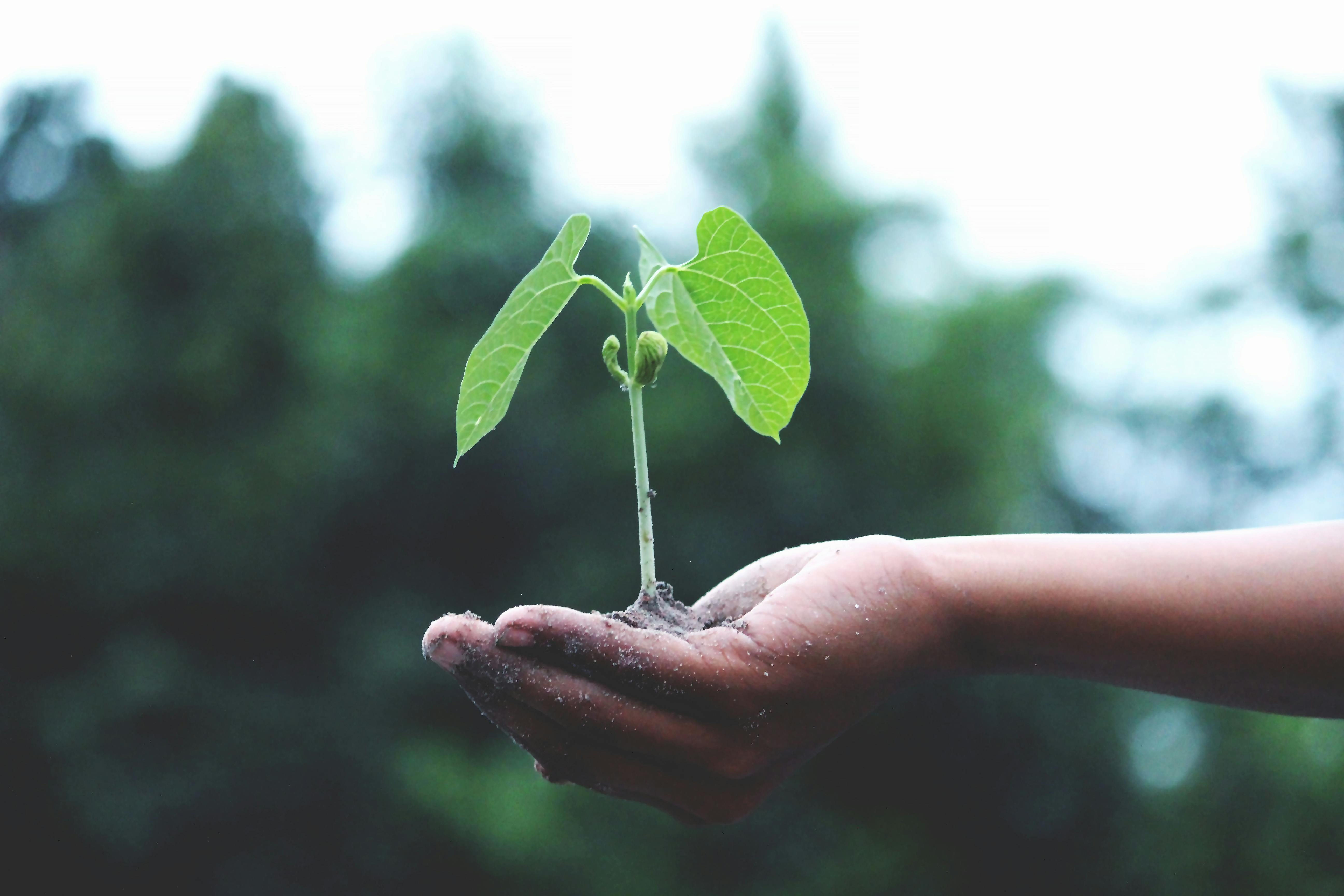 Featured Article - Public Education